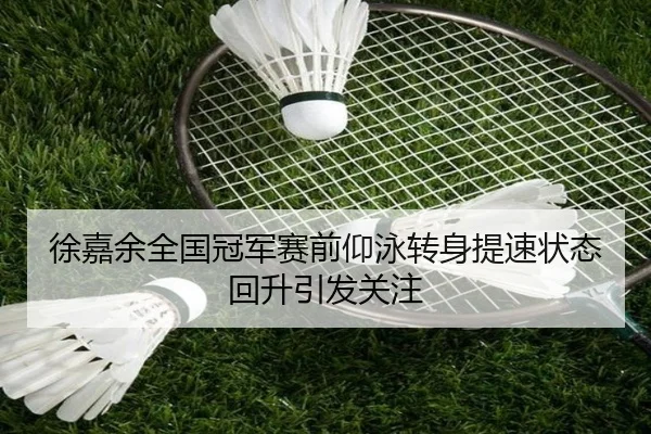 徐嘉余全国冠军赛前仰泳转身提速状态回升引发关注